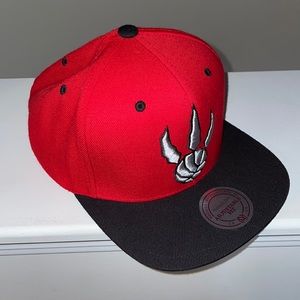Raptors Snapback Cap